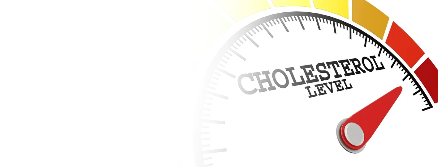 Normal Cholesterol Levels Chart for Men and Women: Complete Guide