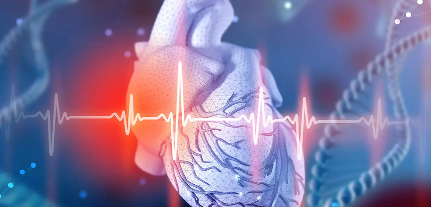 Electrophysiology