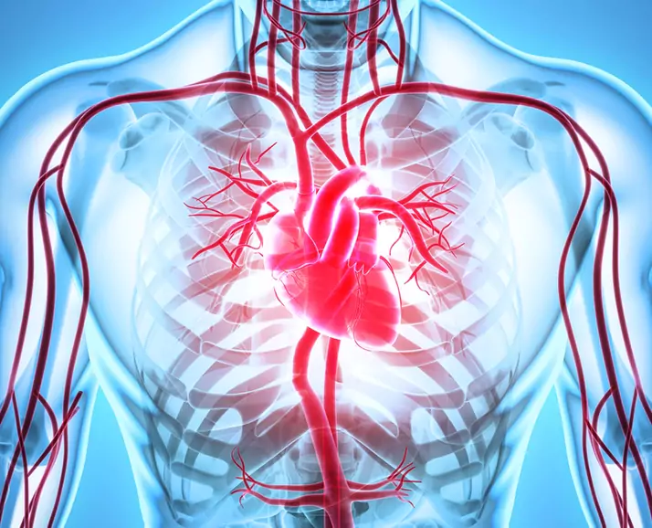 68e3be53e6fdfpercutaneous_aortic_aneurysm_repair_by_stent_grafts.webp